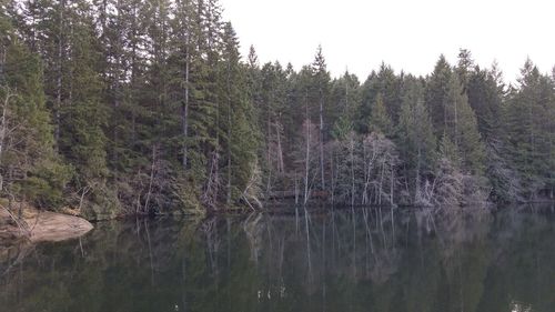 Scenic view of lake in forest against sky