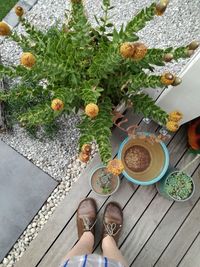 Low section of woman standing by plants