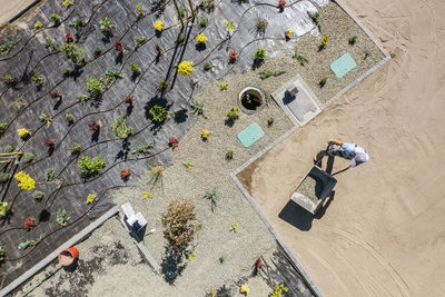 High angle view of people walking on street