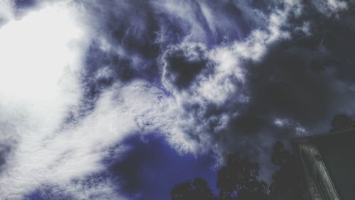 Low angle view of trees against sky
