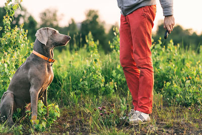 Man with dog standing on field