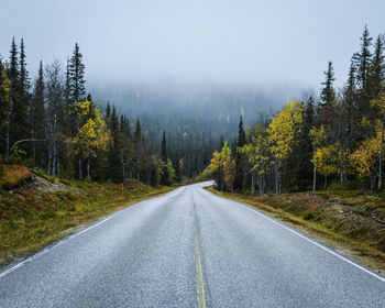 Road amidst trees and plants