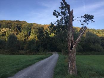 Road amidst trees on field against sky