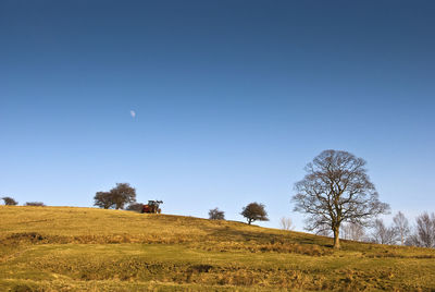 Scenic view of field against clear blue sky