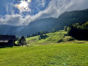 Scenic view of field against sky