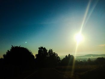 Sun shining through trees