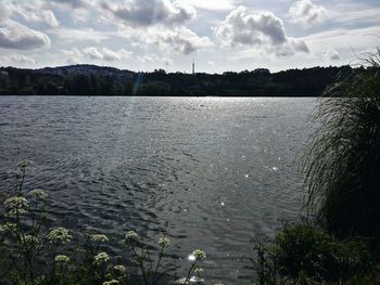 Swan on lake against sky