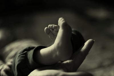 Low section of person holding leaf