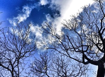 Low angle view of bare trees against cloudy sky