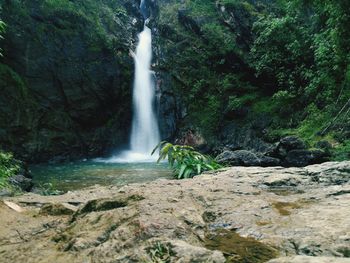 Scenic view of waterfall in forest