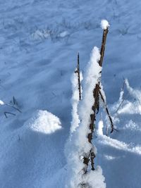 High angle view of snow covered land on field