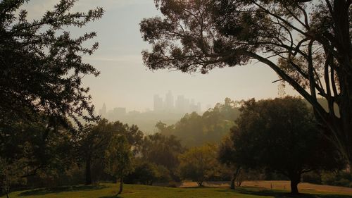 Skyscrapers in city