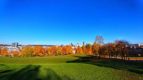 Trees on field against clear sky during autumn