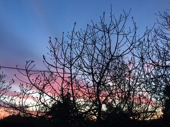 Low angle view of silhouette bare trees against clear sky