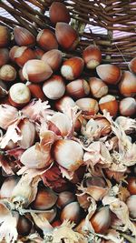 High angle view of shells for sale at market