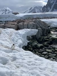 Man sitting on snow