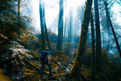 Man hiking in forest