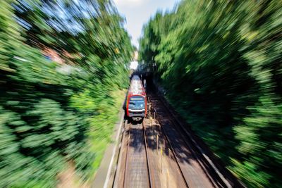 Railroad tracks in forest