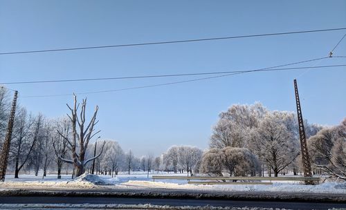 Snow covered field against sky