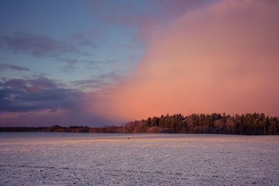 A beautiful, bright, colorful landscape of a winter sunrise. bright sky and first snow. 