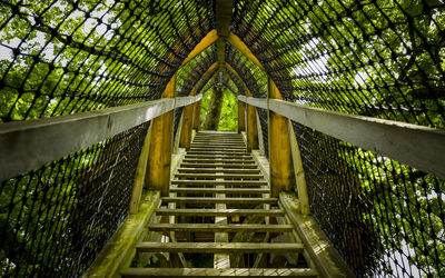 Low angle view of steps amidst trees