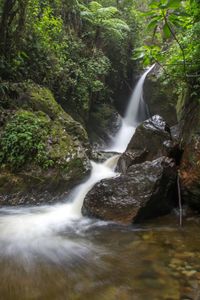 View of waterfall in forest