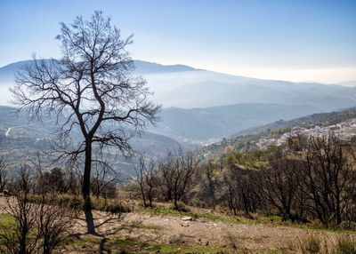 Scenic view of landscape and mountains against sky