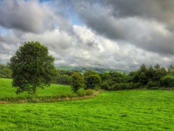 Scenic view of grassy field against cloudy sky