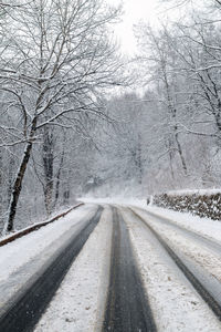 Road amidst bare trees during winter