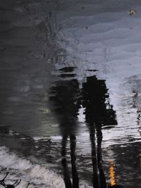 Reflection of trees in water