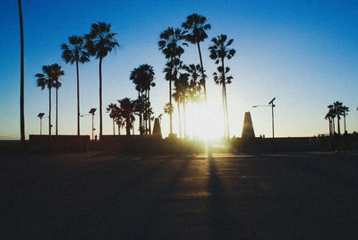 Silhouette palm trees against clear sky during sunset