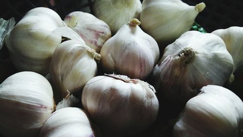 Close-up of garlic bulbs