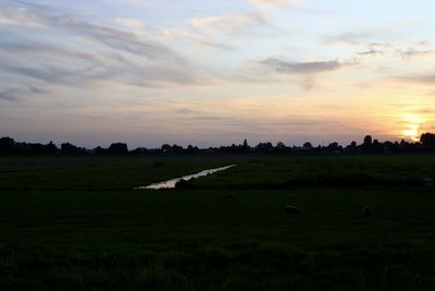 Scenic view of agricultural field against sky during sunset