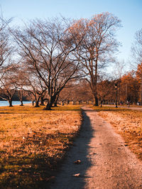Road amidst bare trees on field against sky