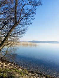 Scenic view of lake against clear blue sky