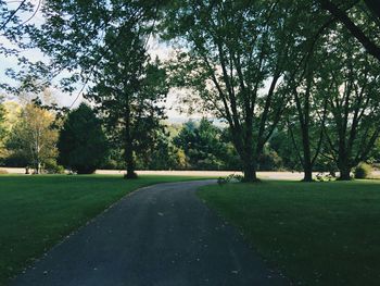 Empty road in park