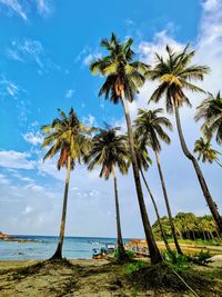 Palm trees on beach against sky