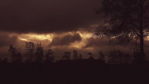 Low angle view of silhouette trees against storm clouds