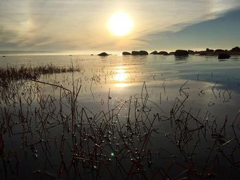 Sunset over sea