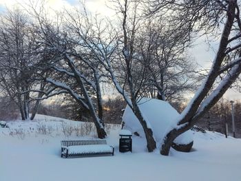 Bare trees on snow covered field