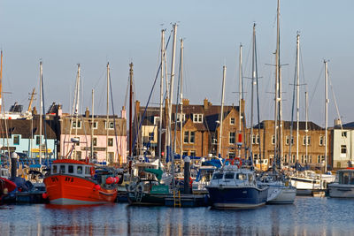 Sailboats moored at harbor against sky in city