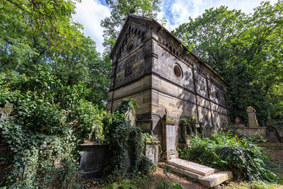 Low angle view of old building in forest