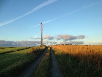 Footpath amidst grassy field against sky