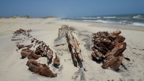 Shipwreck at sandy beach