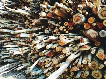 High angle view of logs in forest