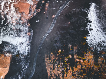 High angle view of wet street amidst trees