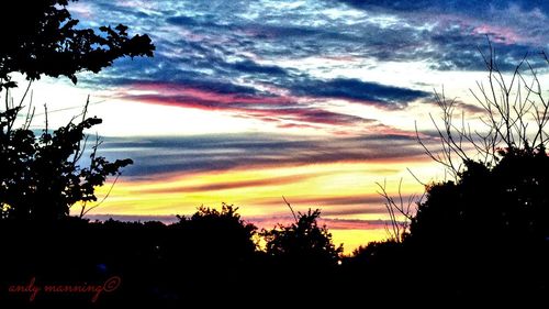 Silhouette of tree against cloudy sky