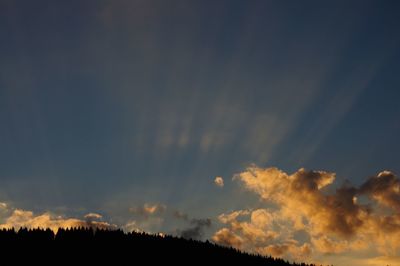 Low angle view of silhouette trees against sky