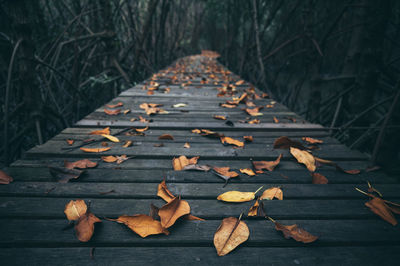 Close-up of autumn leaves on wooden surface