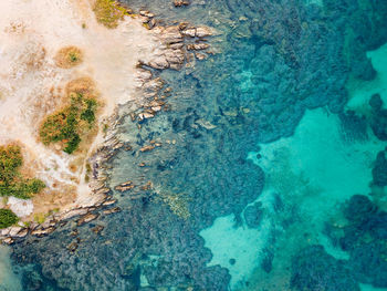 Ocean beach from above with blue water of the sea and yellow coast line of the bay from top angle 